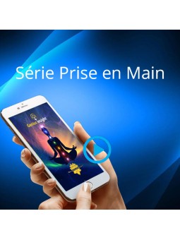 Online training for Genius Insight - France