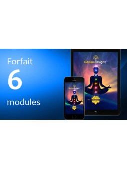 Online training for Genius Insight - France