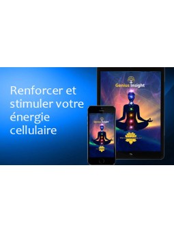 Online training for Genius Insight - France