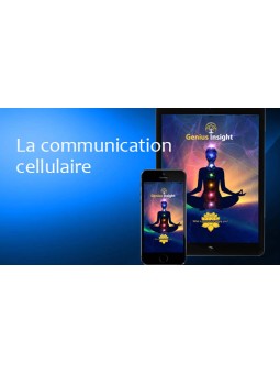 Online training for Genius Insight - France